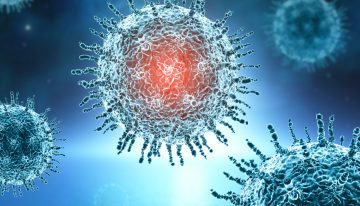 Así es como algunas vacunas paralizan al virus de la covid-19