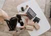 Cuáles son los desafíos a los que se enfrentan los empleos en plataformas digitales