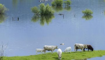 ¡El planeta se sigue calentando! Alarmante reporte sobre el cambio climático