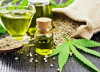 Cannabis medicinal aportaría más de US$1.700 millones en exportaciones al 2030