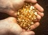 Registro más alto en últimos 4 años: Producción de oro se incrementó en un 46,4 % en el segundo trimestre del año