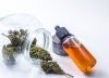 Gran potencial: Cannabis, la oportunidad de reactivación económica en el país