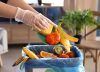 Así es como las empresas están contribuyendo a la reducción del desperdicio de alimentos