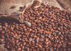Sigue en alza: Producción de café colombiano creció 22% en septiembre