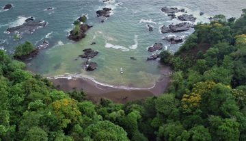 Biodiversidad: Conozca el proyecto ganador de reconocimiento por su impacto social y ambiental en Colombia