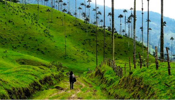 Generarán más de 10.000 puestos de trabajo: Conozca los dos primeros proyectos turísticos especiales de gran escala en Colombia