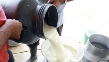 Preocupación por escasez de leche en Colombia: Precio podría aumentar considerablemente  