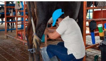 Israel ha abierto sus puertas a la leche y productos lácteos colombianos