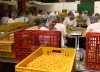 Al alza: Exportaciones agropecuarias de Colombia cerraron el 2021 con ventas por USD $9.418 millones