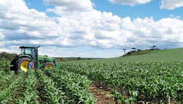 El agro colombiano está en alerta: Lanzan herramientas tecnológicas para ayudar
