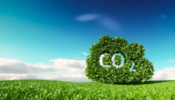 Conozca la primera empresa vinculada en 2022 a la Alianza Sector Eléctrico Carbononeutral
