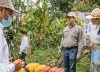 Multimillonaria inversión al sector cacaotero: $12.000 millones mejorarán la productividad de 6.500 hectáreas