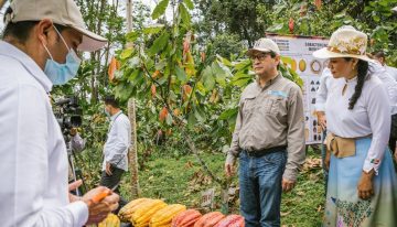 Multimillonaria inversión al sector cacaotero: $12.000 millones mejorarán la productividad de 6.500 hectáreas