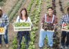 Esta es la compañía que espera obtener más de 14 millones de toneladas de sus insumos a través de la agricultura regenerativa para 2030