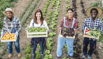 Esta es la compañía que espera obtener más de 14 millones de toneladas de sus insumos a través de la agricultura regenerativa para 2030