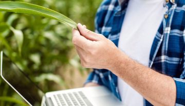 Ecosystem Building: el impulso social y económico de pequeños productores rurales y recicladores en Colombia