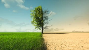 El próximo presidente de Colombia tendrá desafíos alimentarios