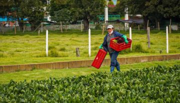 Más de 280 mujeres rurales se beneficiarán con cerca de $5 mil millones por alianza