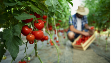 Sostenibilidad: Conozca el proyecto que impulsa a más de 130 campesinos colombianos
