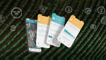 Crean la primera App del país que permitirá monitorear los principales indicadores del agro desde un celular o Tablet