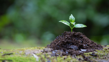 “El suelo cumple un papel fundamental en el equilibrio productivo y ambiental, hay que darle el valor que merece”: MinAmbiente.