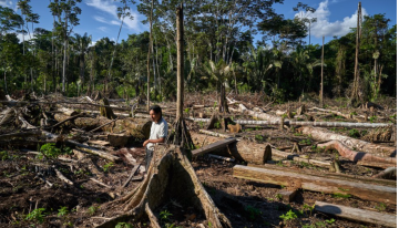 La mayoría de los jóvenes colombianos desconoce problemáticas de la Amazonía