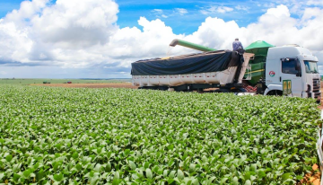 Las 5 tendencias que están transformando al agro en Colombia 