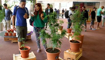 ¿Cómo le ha ido a Uruguay, el pionero en regular la marihuana 10 años después?