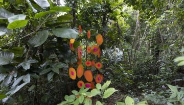 Poesía, arte, y naturaleza se encontrarán en El Portal de El Yunque