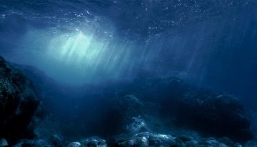 Científicos descubren ‘oxígeno negro’ en las profundidades del Océano Pacífico