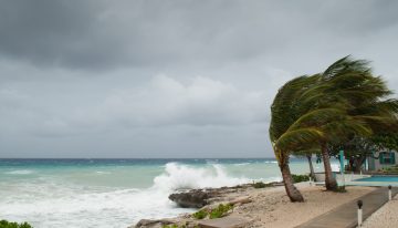 Telmex y Telcel alistan plan de contingencia por huracán Beryl