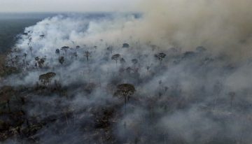 ¿Por qué la Amazonía y otros bosques en Sudamérica se está quemando?