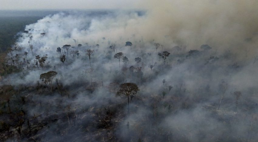 ¿Por qué la Amazonía y otros bosques en Sudamérica se está quemando?