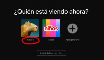 ¿Cómo saber quién usa mi cuenta de Netflix?