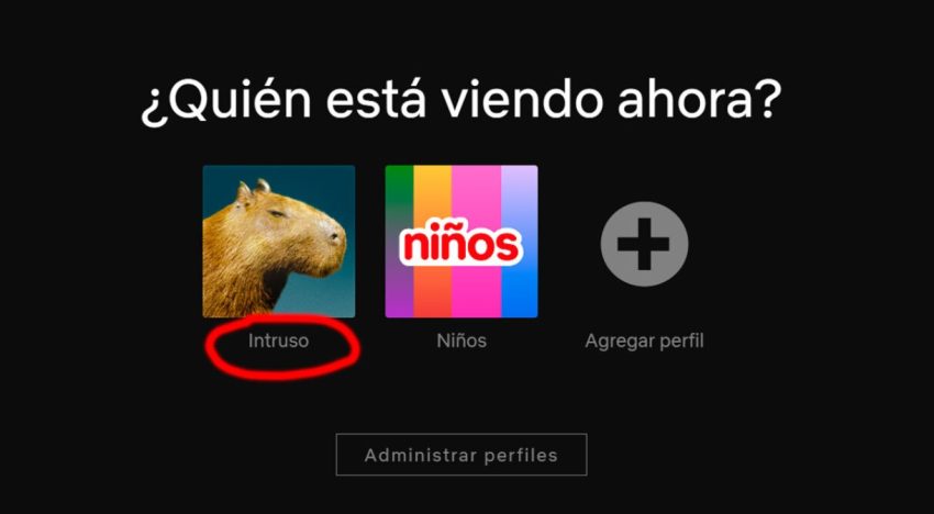 ¿Cómo saber quién usa mi cuenta de Netflix?