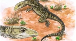 El lagarto moderno ya existía hace 205 millones de años