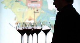 Un polémico estudio afirma que el consumo de vino es bueno para el corazón y enfurece a los expertos: «Es un trabajo pagado por los productores de alcohol»