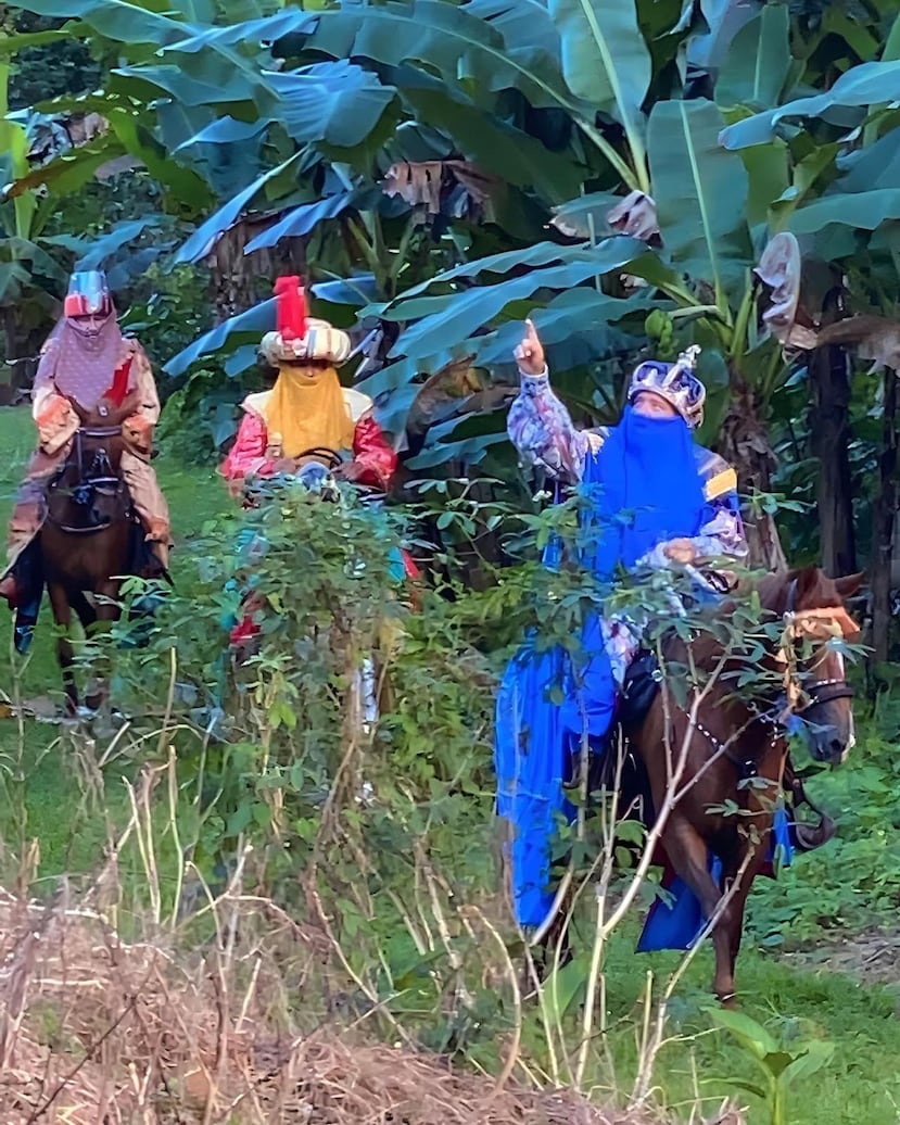 Promesa de Reyes de la familia Alegría de Dorado.