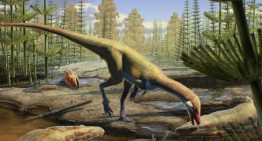 Los dinosaurios llegaron al hemisferio norte millones de años antes