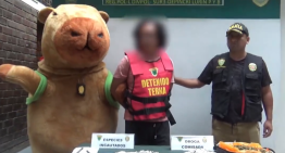 Un policía peruano se disfraza de la 'capibara del amor' para capturar a un traficante de droga