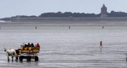 La extrema derecha alemana quiere confinar a solicitantes de asilo en una isla remota del mar del Norte