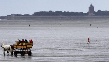 La extrema derecha alemana quiere confinar a solicitantes de asilo en una isla remota del mar del Norte