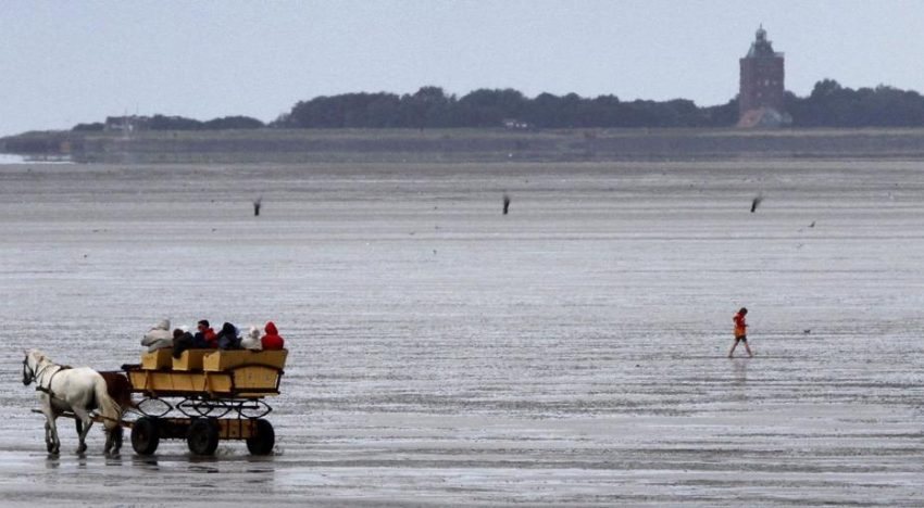 La extrema derecha alemana quiere confinar a solicitantes de asilo en una isla remota del mar del Norte