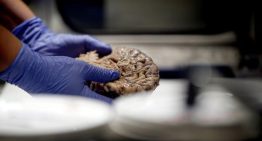 La actividad física moderada entre los 45 y los 65 años protege del alzhéimer a personas con antecedentes