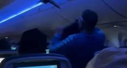 Dos palomas provocan el caos absoluto tras colarse dentro un avión en EE.UU.