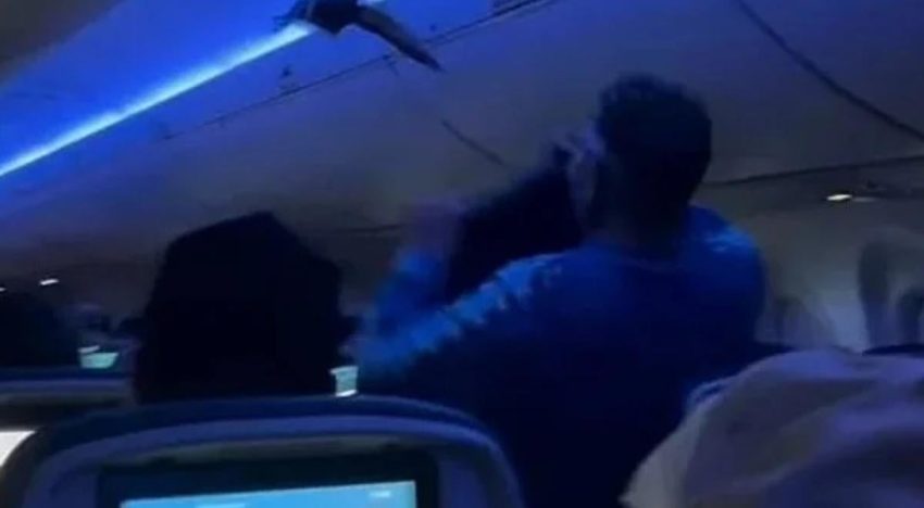 Dos palomas provocan el caos absoluto tras colarse dentro un avión en EE.UU.