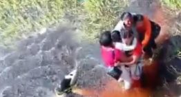 Cinco personas sobreviven 36 horas en un pantano rodeados de caimanes tras un accidente de avioneta