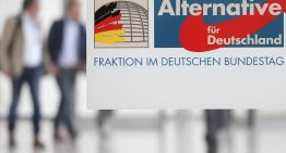Alemania suspende temporalmente la clasificación de AfD como partido «extremista»