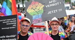 Alemania responde a las críticas de EE.UU. sobre la ilegalización de AfD: «Los tribunales tendrán la última palabra»