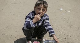 Israel se anexiona más de la mitad de Gaza tras dos meses de bloqueo
